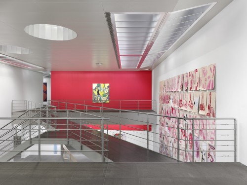 Collection intervention by Amy Sillman