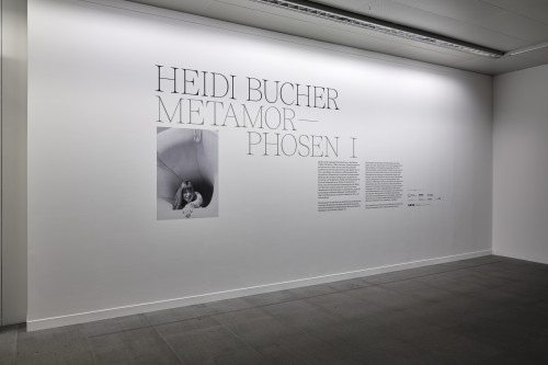 Heidi Bucher