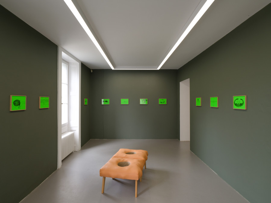 Exhibition view, Flo Kasearu, Pelouse Interdite / Do Not Step on the Grass, Villa du Parc, Annemasse, 2026. Photo credit: Aurélien Mole