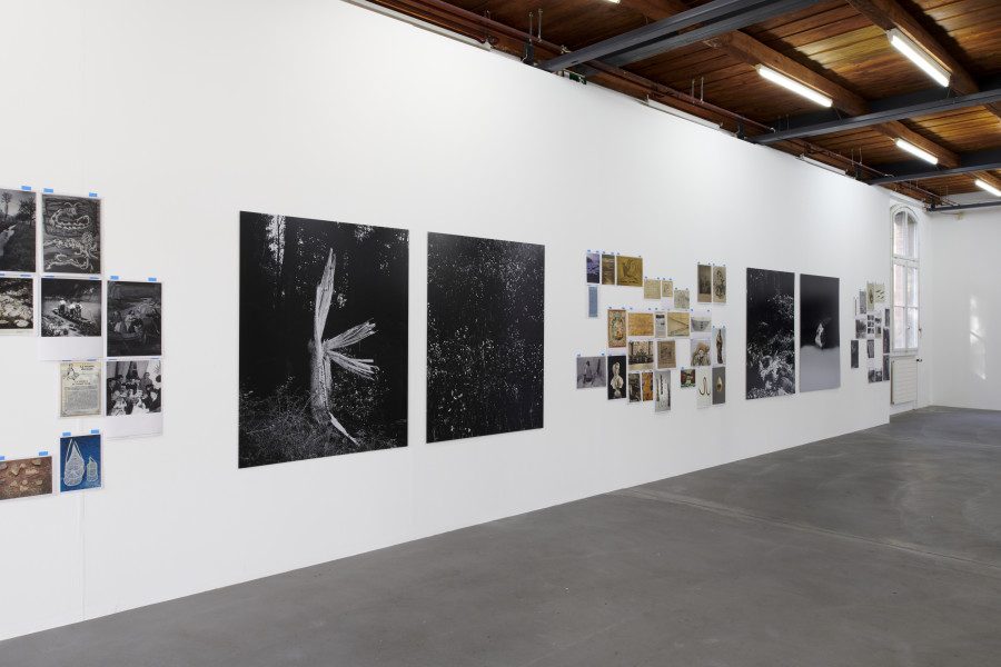 Exhibition view, Cécile Monnier, des nuits sans silence, Kunsthalle Friart Fribourg, 2023. Photo : Guillaume Python