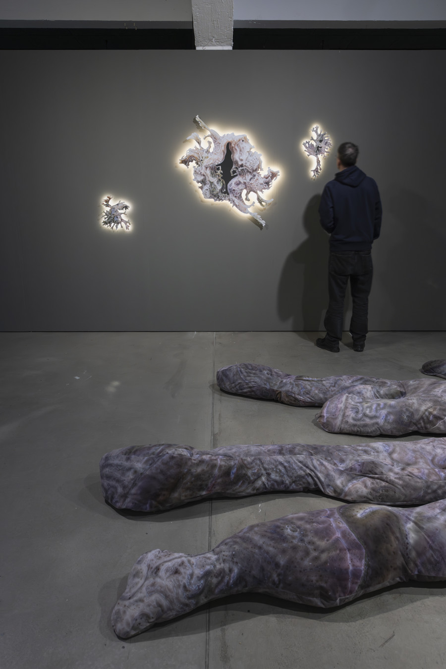 Isabell Bullerschen, Metabolic portal I, 2026, «Lukas Truniger, Isabell Bullerschen, Rhona Mühlebach – Swiss Media Art – Pax Art Awards 2025», 2026, HEK, photo: Franz Wamhof