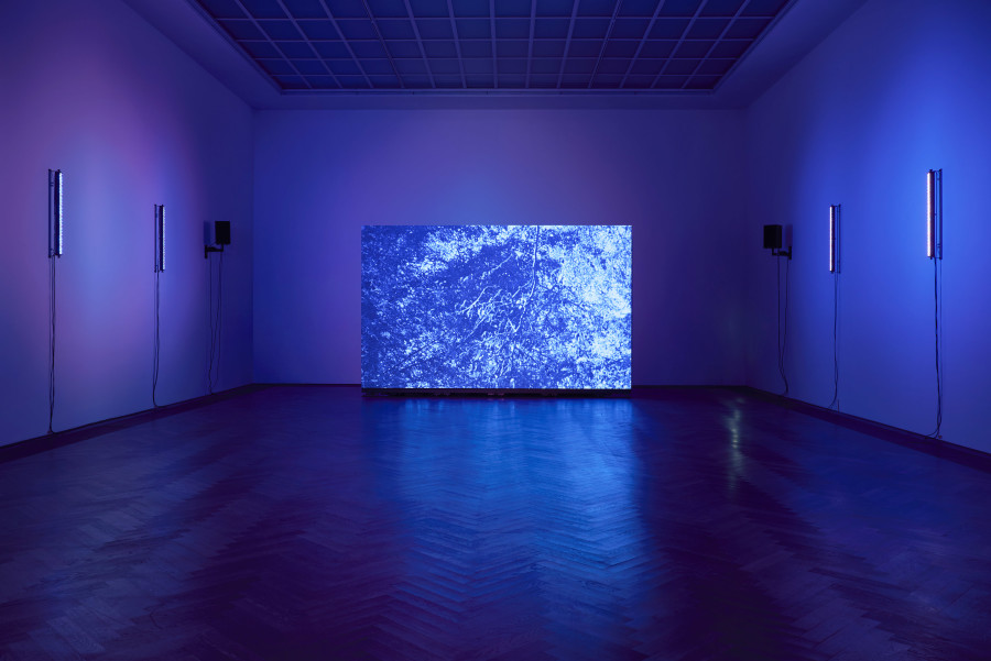 P. Staff, La Nuit Américaine, 2023, installation view, in: P. Staff, In Ekstase, Kunsthalle Basel, 2023, photo: Philipp Hänger / Kunsthalle Basel