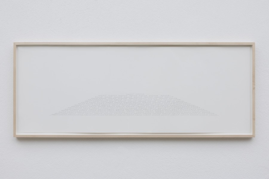 Jay Chung & Q Takeki Maeda, Buckwheat, 2024 Bleistift auf Baumwollpapier / Pencil on cotton paper 56 x ~137 cm. Courtesy the artists. Photo: Gina Folly