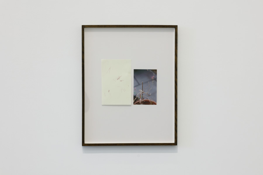 Struan Teague, Notes on Rhythm, 2023, pen on paper and inkjet on paper, 51 x 41 cm, framed