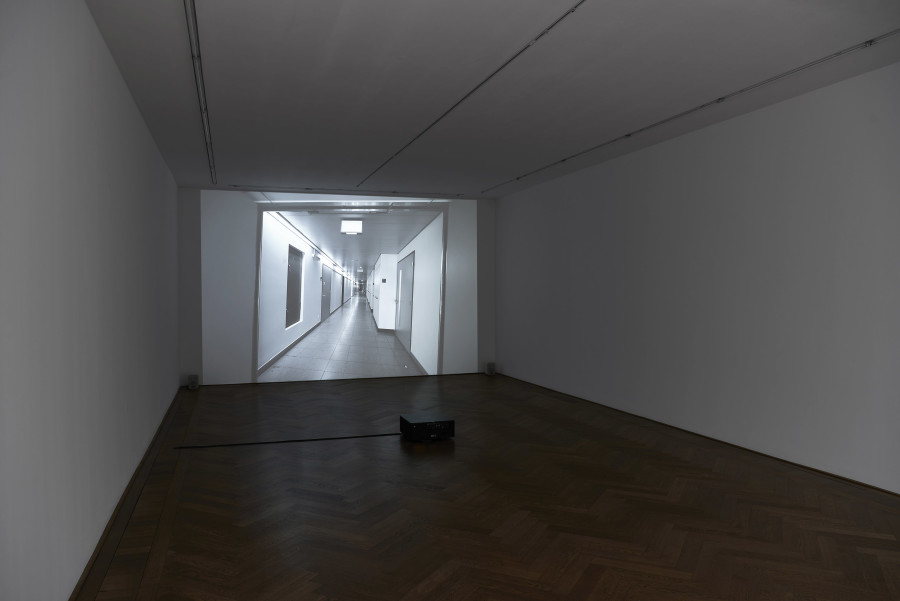 Daniel Turner, Three Sites, Kunsthalle Basel, 2022. Installation view: BASF / Novartis / Holdenweid. Photo: Philipp Hänger / Kunsthalle Basel. All works courtesy the artist and Gallery Allen, Paris