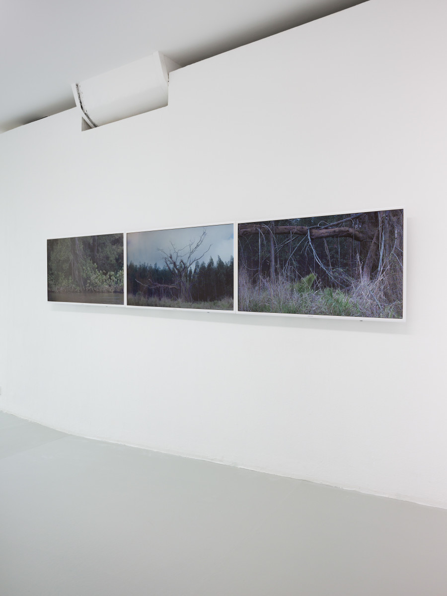 Denise Bertschi, SPATIAL CONVERS(I)OR. The Villa of (no) Return, 2024, exhibition view, CAN, 2024. Photography: Sebastian Verdon. Courtesy: Images copyright and courtesy of the artists and CAN Centre d’art Neuchâtel