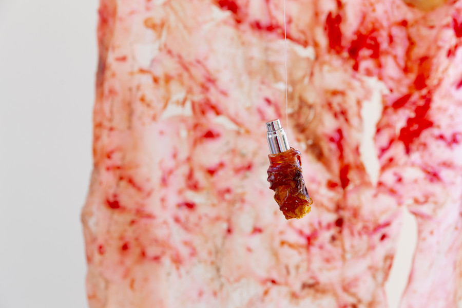 Livia Rita, exhibition view, room 4, Dream Soft, Kunsthalle Palazzo 2025, Photo: Nina Rieben