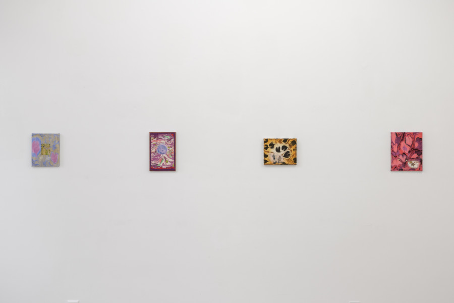 Exhibition view, Cosima zu Knyphausen, Homo Hobby, Galerie Oskar Weiss, Zürich, 2025. Photo credit: Gina Folly