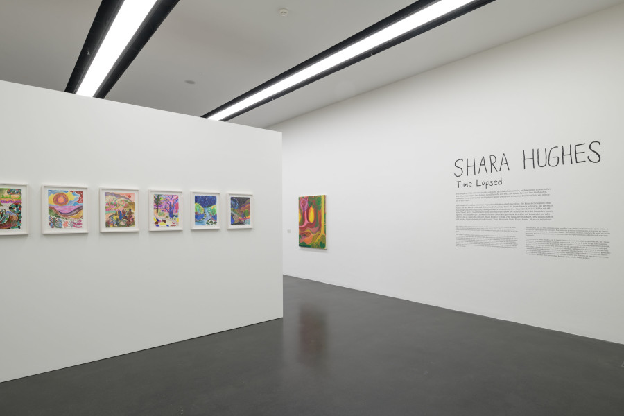 Ausstellungsansicht/exhibition view Shara Hughes. Time Lapsed, Kunstmuseum Luzern 2022. Foto/photo: Marc Latzel