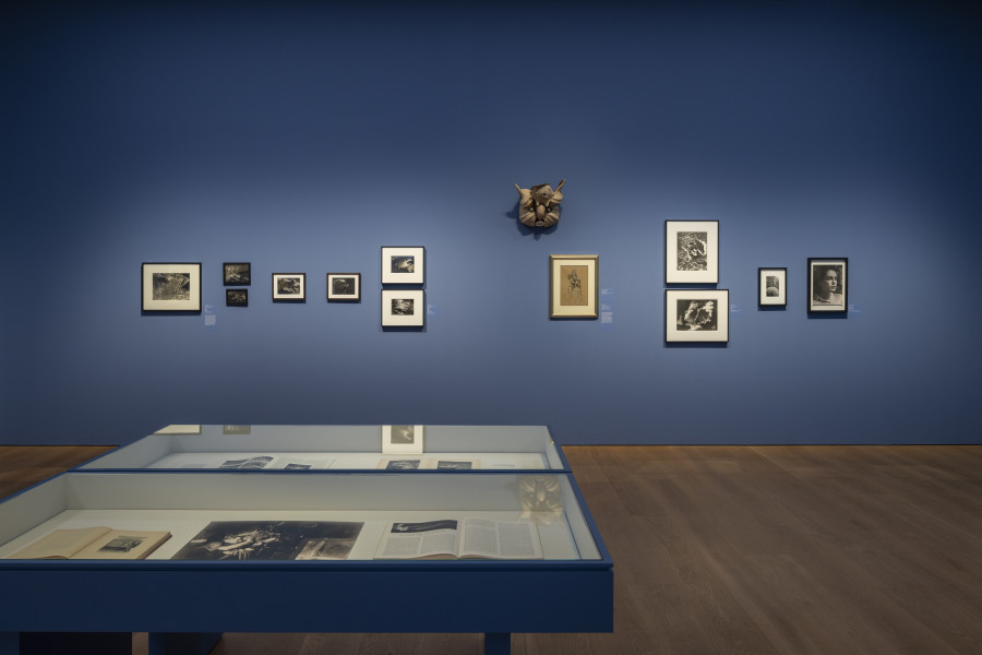 Views of the exhibition Thalassa ! Thalassa ! Imaginery of the sea, Musée cantonal des Beaux-Arts, Lausanne. Photo : MCBA /Jonas Hänggi