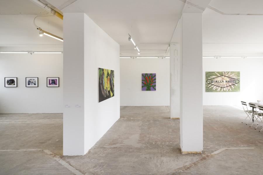 Exhibition view, SPRING EQUINOX II, suns.works, Zürich, 2025. ©2025 suns.works and the artists. Photography: Claude Barrault