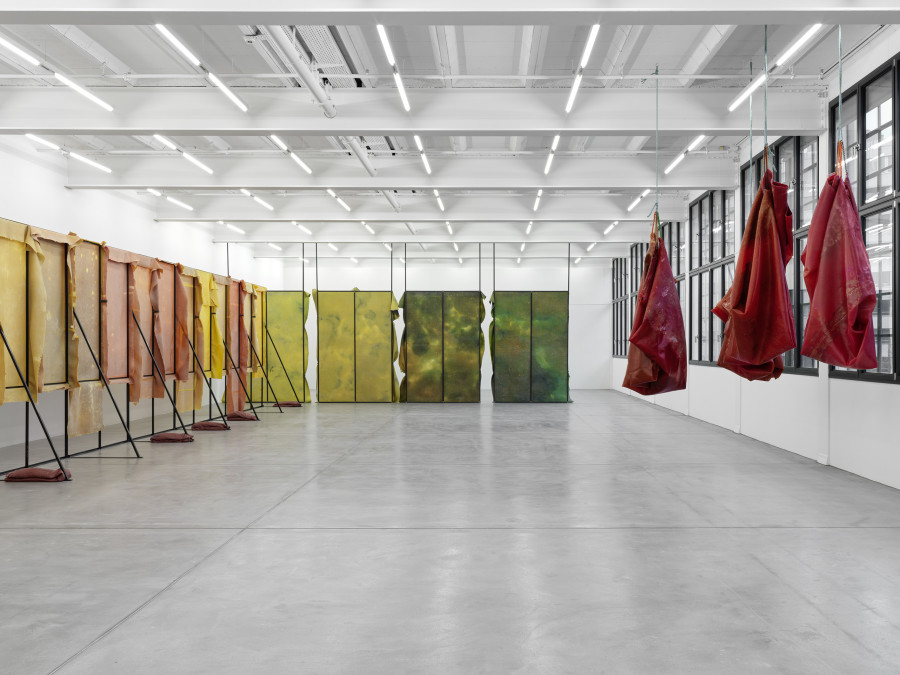 Installation view, Liesl Raff, A Corridor, a Room, and Four Dens, Galerie Eva Presenhuber, Maag Areal, Zurich, 2025. © Liesl Raff. Courtesy the artists and Galerie Eva Presenhuber, Zurich / Vienna. Photo: Stefan Altenburger Photography, Zürich