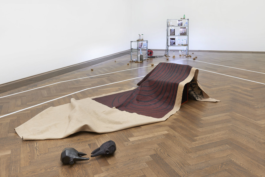 Installation view, Situation 1 und andere, Kunsthalle Basel, 2020, view on Anna Diehl, We Fight, 2015 (front), Mein kleiner Garten, 2020 (middle), Cyril Tyrone Hübscher, SHTF-scenario, 2020 (back). Photo: Philipp Hänger / Kunsthalle Basel