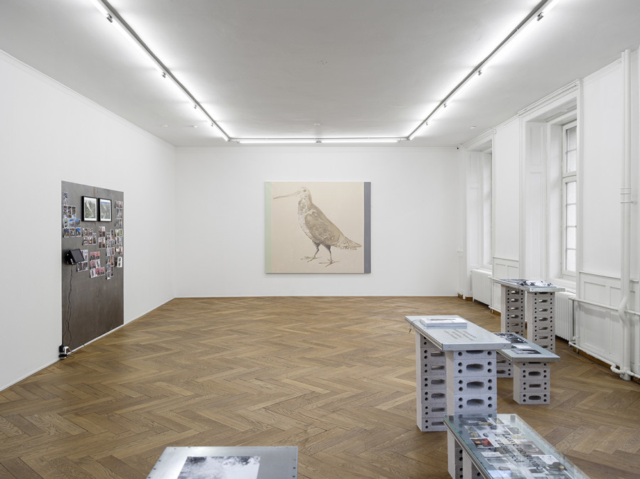 Samira Gollin, Jürg Stauffer, Kotscha Reist, Cantonale Berne Jura 2023, Ausstellungsansicht Kunsthaus Langenthal, Foto: Cedric Mussano
