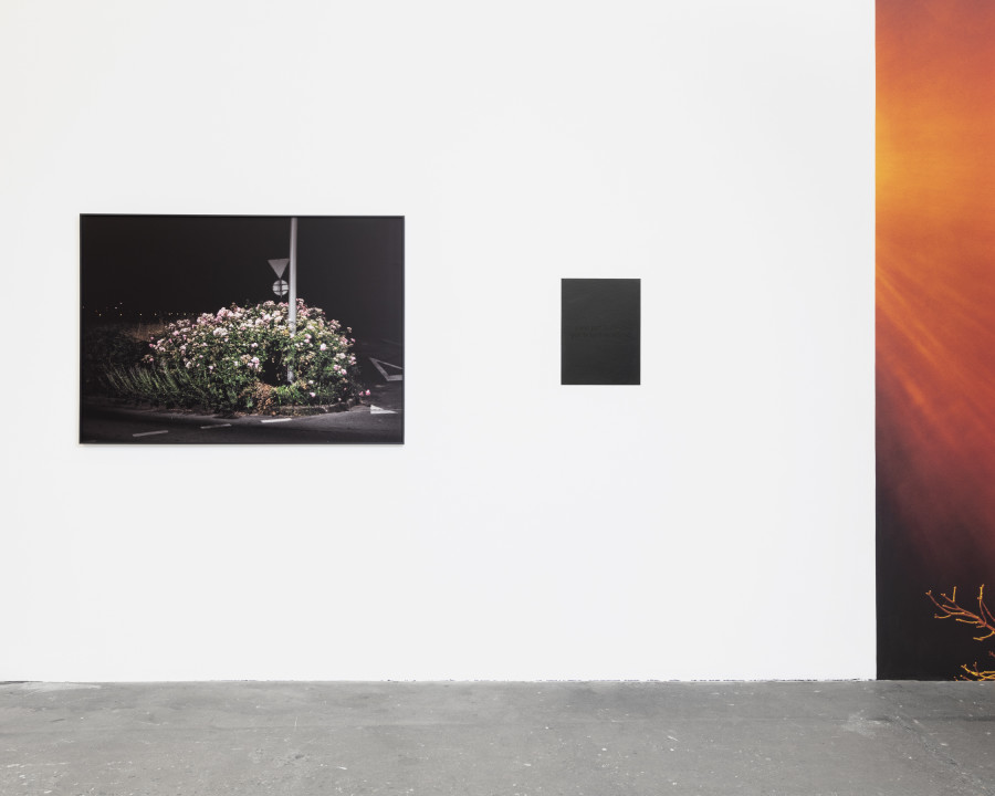 Installation view, Léonie Rose Marion, Relever la nuit, Centre de la photographie Genève, 2024. Photo credit: Lucas Olivet