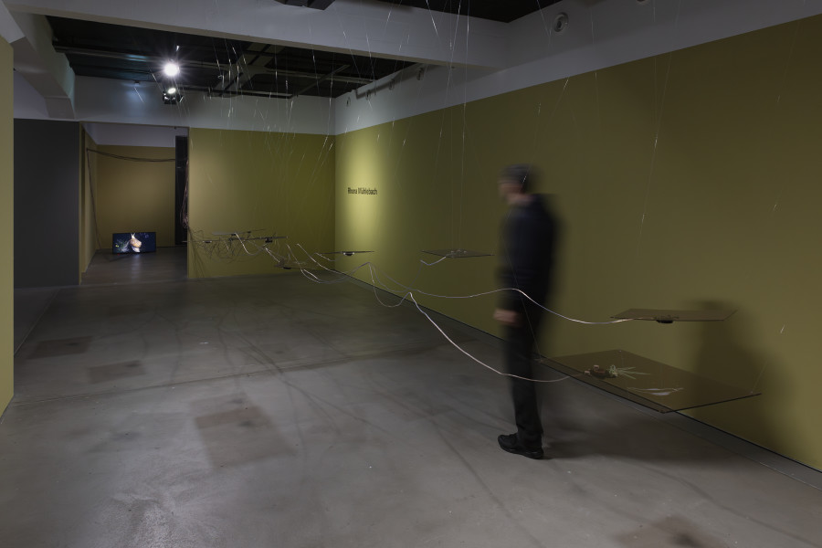 Rhona Mühlebach, I Petrify, Coda, 2026, «Lukas Truniger, Isabell Bullerschen, Rhona Mühlebach – Swiss Media Art – Pax Art Awards 2025», 2026, HEK, photo: Franz Wamhof