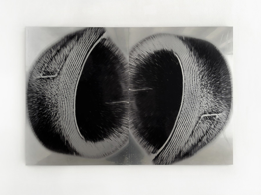 Marie Angeletti, Minerve, 2023, Digital print on painted dibond, two parts, each 110 x 82.5 cm