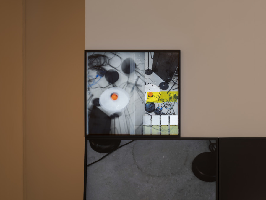 Exhibition view, Daria Blum, HOME SCREEN, 2026. Photo credits: Julian Blum