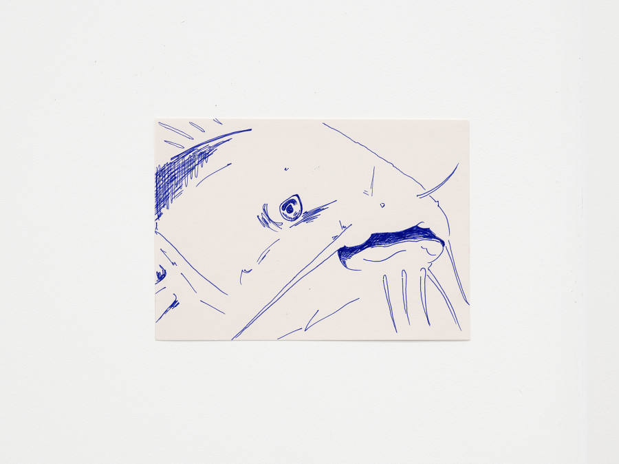 Anna Zacharoff, catfish, Pencil on paper, 14.8  × 21 cm, 2023 / Photo: Cedric Mussano / Courtesy: The artist and Kirchgasse Gallery, Steckborn
