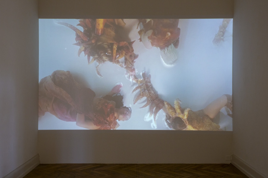 Livia Rita, exhibition view, room 3, Kunsthalle Palazzo, 2025, Photo: Nina Rieben