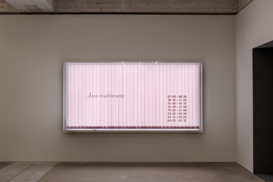 Jiajia Zhang, Window (Script), 2023, Kunstmuseum St. Gallen, Photo: Sebastian Stadler