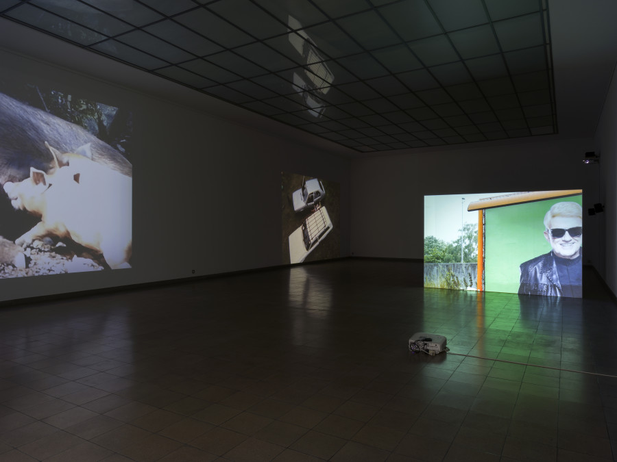 Tourism, Kunsthaus Glarus, 2021, installation view. Marie Angeletti, Wild Pigs, 2020, Single-channel video projection (color, sound), 3:08 min, Courtesy the artist, Carlos/Ishikawa, London and Édouard Montassut, Paris / Nina Könnemann, What’s New, 2015, Single-channel video projection (HD, color, no sound), 3:40 min, Courtesy the artist, High Art, Paris and Gaga, Mexico City/Los Angeles / Tony Hill, Downside Up, 1984 Single-channel video projection (16mm film transferred to SD video, color, sound), 17:32 min, Courtesy the artist and LUX, London. Photo: CE