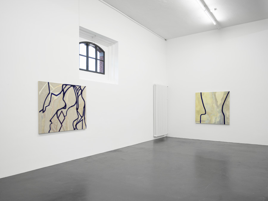 Installation view, Emil Michael Klein, Galerie Francesca Pia, Zurich, 2023-2024. Photo: Cedric Mussano