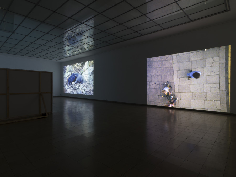 Tourism, Kunsthaus Glarus, 2021, installation view. Marie Angeletti, Wild Pigs, 2020, Single-channel video projection (color, sound), 3:08 min, Courtesy the artist, Carlos/Ishikawa, London and Édouard Montassut, Paris / Tony Hill, Downside Up, 1984 Single-channel video projection (16mm film transferred to SD video, color, sound), 17:32 min, Courtesy the artist and LUX, London. Photo: CE