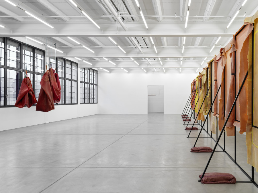 Installation view, Liesl Raff, A Corridor, a Room, and Four Dens, Galerie Eva Presenhuber, Maag Areal, Zurich, 2025. © Liesl Raff. Courtesy the artists and Galerie Eva Presenhuber, Zurich / Vienna. Photo: Stefan Altenburger Photography, Zürich