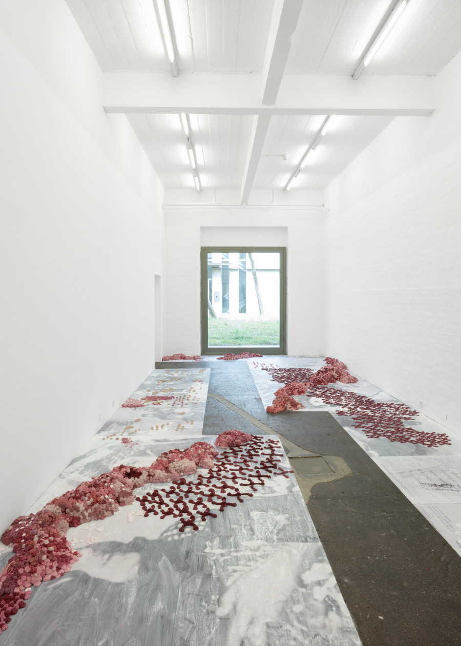 Melike Kara, «Emine`s Garden», exhibition view, 2023. Photo: Kunst Halle Sankt Gallen, E. Sommer. Courtesy: the artist Jan Kaps, Cologne & Peres Projects, Berlin