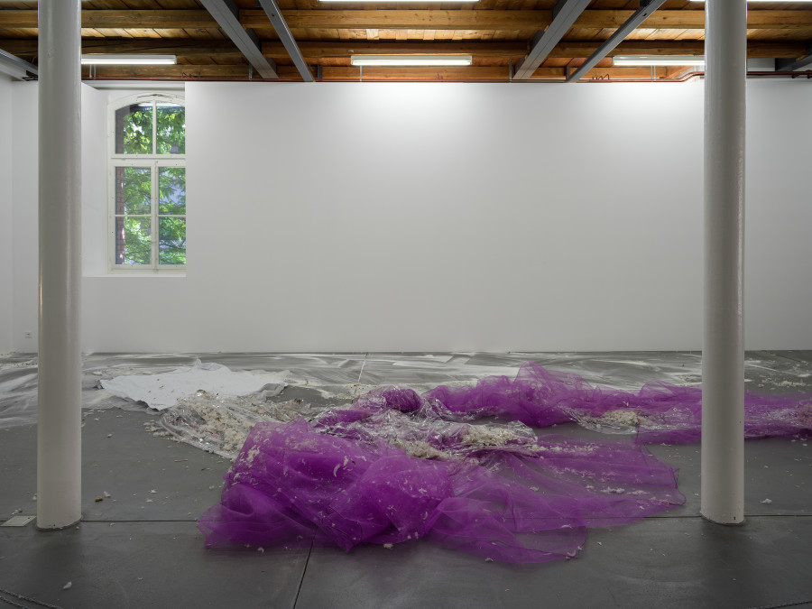 Jason Dodge, installation view, Kunsthalle Friart Fribourg, 2026. Photo: Cedric Mussano