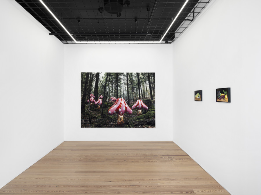 Exhibition view, Till Rabus, artifice, galerie lange + pult, 2024. Photo credit: Julien Gremaud