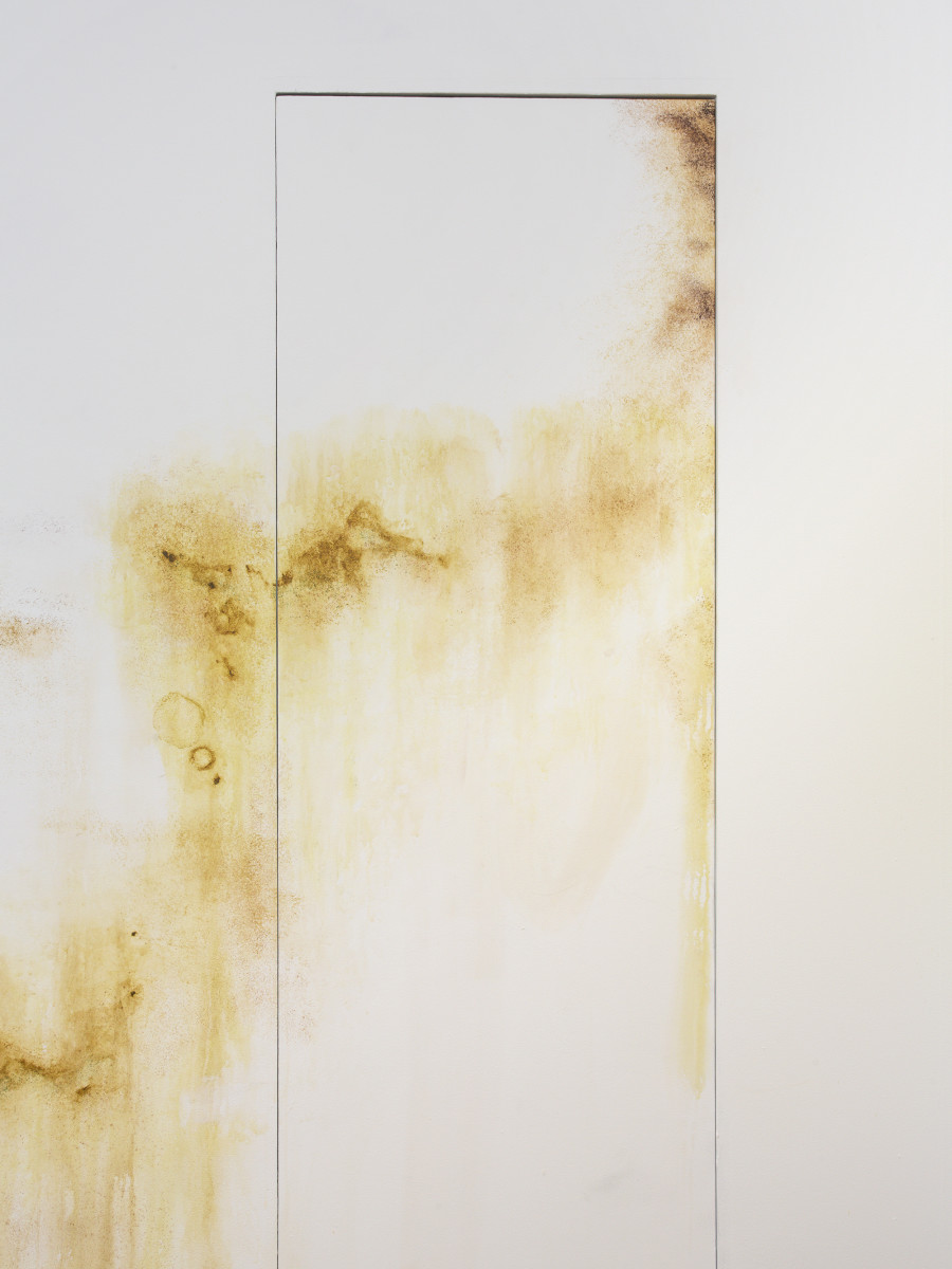 Ceylan Öztrük, Mold Work II, 2022, Collaboration with Emina Sljivar, Painting on the wall, Variable Dimensions. Picture credit: Philipp Rupp/Julien Gremaud. Courtesy of the artist and Sentiment