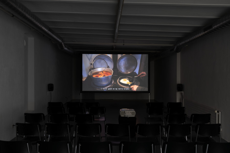 Hamish Halley, Nicky Tams, 2021, 16:9 (colour, sound), 10:09’, Courtesy of the artist. Photo credits: marytwo