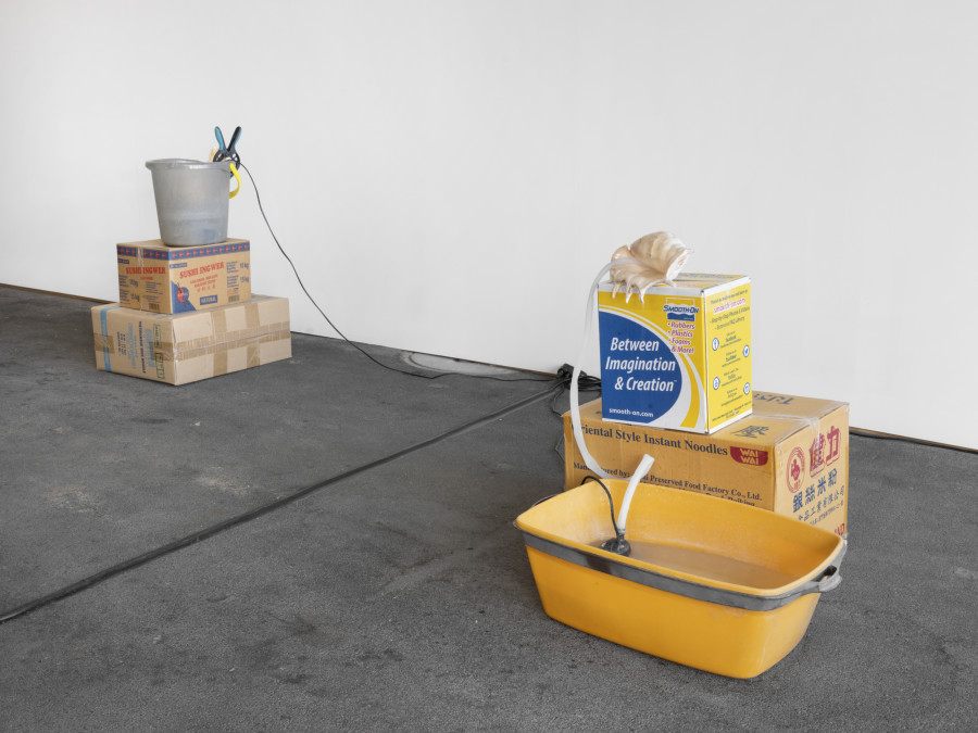 Installation view, Vanessa Safavi, WAVES IN THE CLOSET, Tunnel Tunnel, Lausanne, 2025. Photo credit: Julien Gremaud