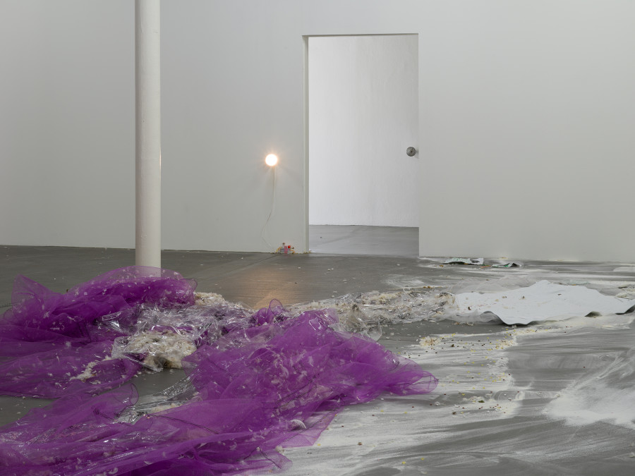 Jason Dodge, installation view, Kunsthalle Friart Fribourg, 2026. Photo: Cedric Mussano