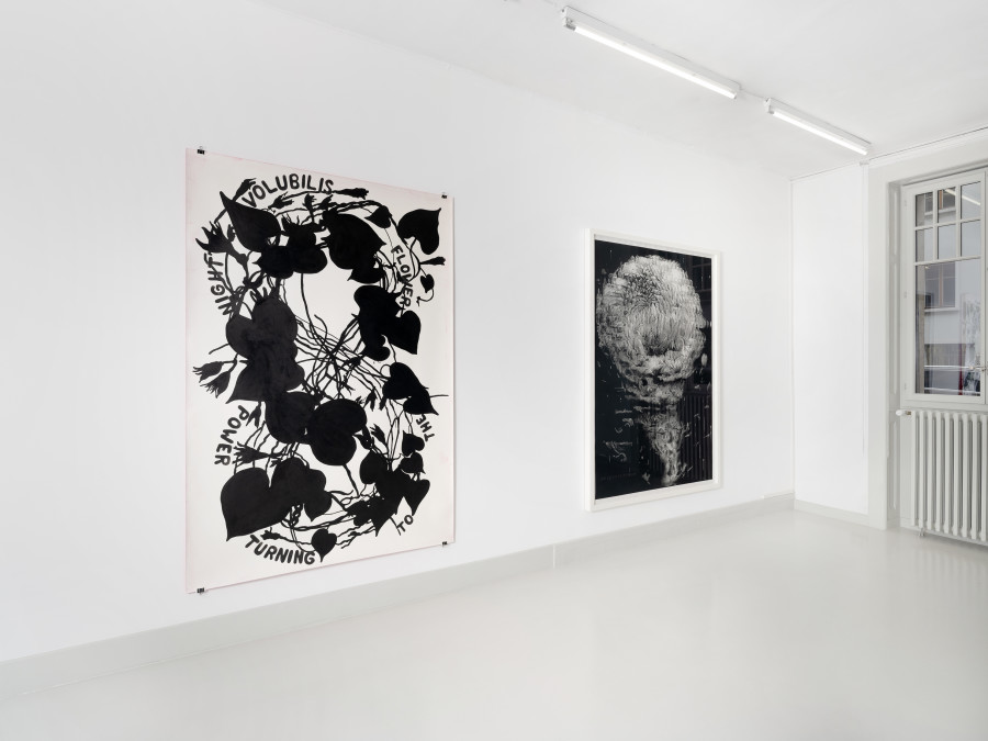 Installation view, Naturæ, Skopia, Geneva, 2026. Photo credit: Julien Gremaud, courtesy of the artists and Skopia