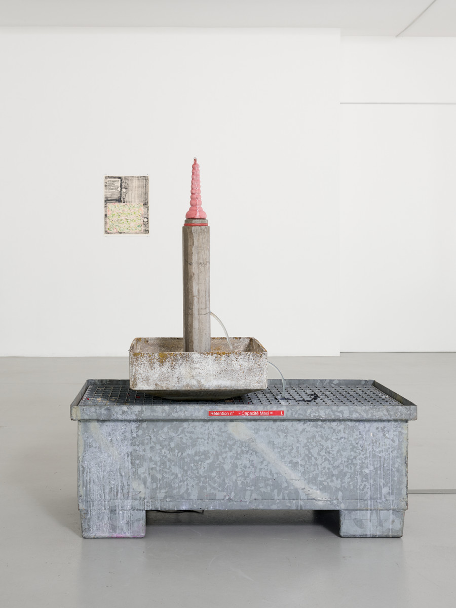 View of the exhibition Timothée Calame, Gymnique Incontinentale, CEC, 2025. Courtesy Centre d’édition contemporaine, Geneva. Photo : © Sandra Pointet