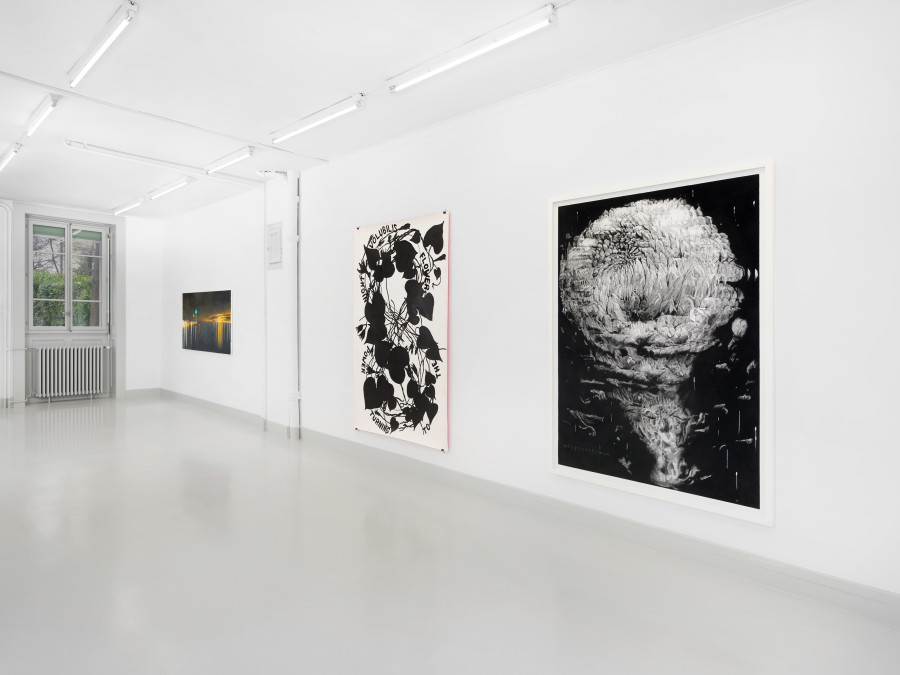 Installation view, Naturæ, Skopia, Geneva, 2026. Photo credit: Julien Gremaud, courtesy of the artists and Skopia