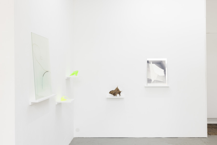 Installation view, Elements of Time, Maya Hottarek, Barbara Davi, Michele Gabriele & Krištof Kintera, KALI Gallery, 2024.