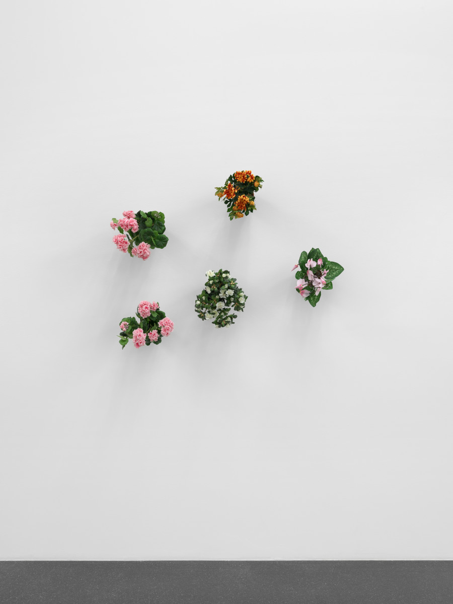 Hans-Peter Feldmann, Blumentöpfe an der Wand, 5 plastic flower pots, variable dimensions, each approx. 30 x 30 x 35 cm