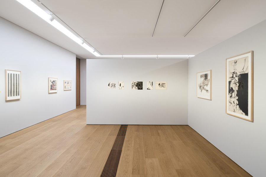Exhibition view, Naissance et vie des formes, Dessins contemporains de la collection, MCBA Lausanne, 2022.