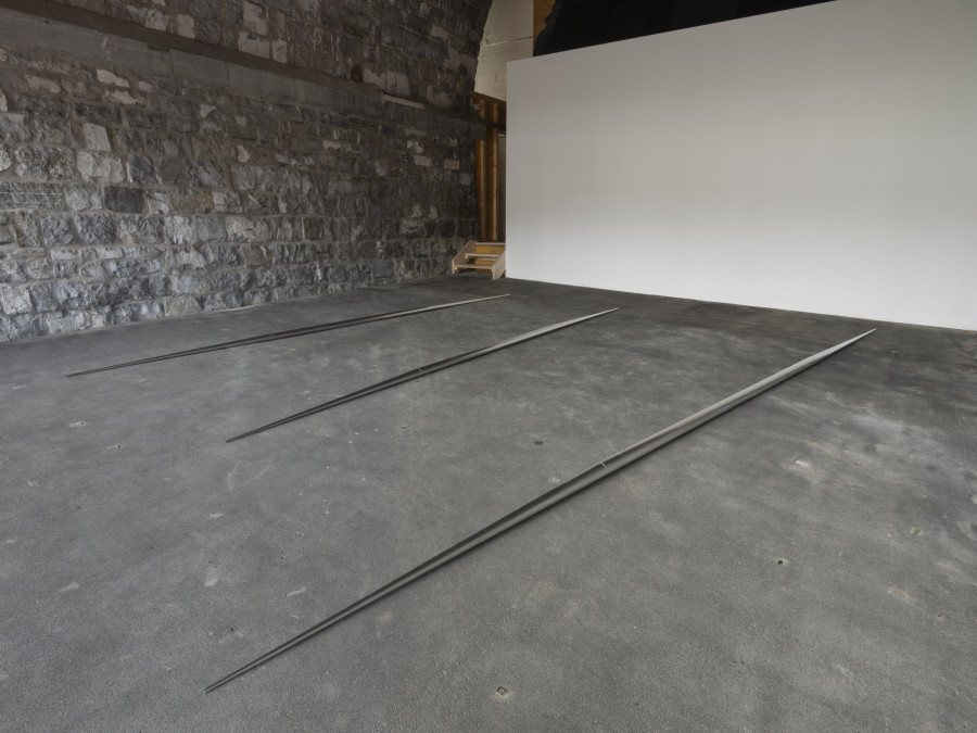 Installation view, Clémentine Adou, Public, Tunnel Tunnel, Lausanne, 2025. Photo credit: Julien Gremaud