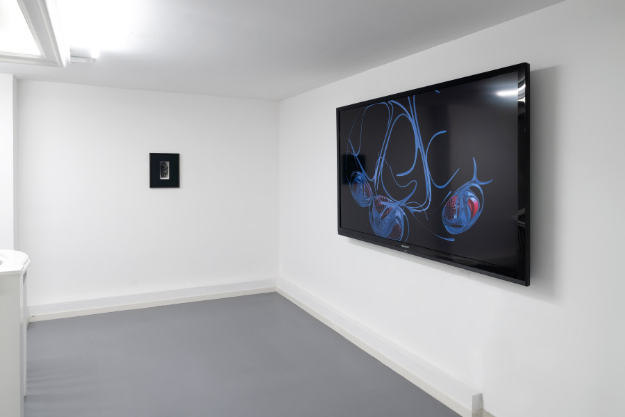 Exhibition view, Sibylle Ruppert, The Bible of Evil, Blue Velvet Projects, 2022. Photo credit: Flavio Karrer