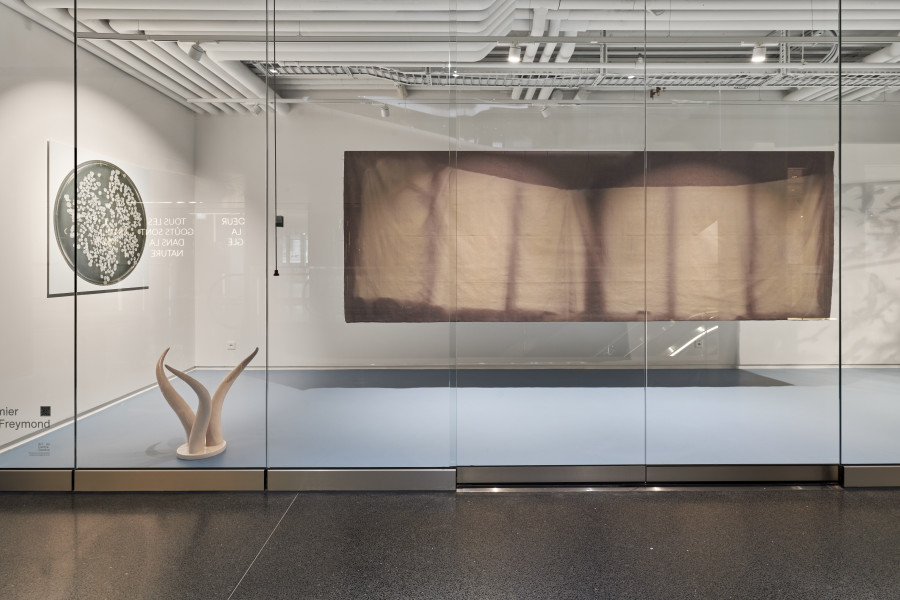 Exhibition view, Florence Vuilleumier & Pierre-Philippe Freymond, Art au Centre Genève, 2022-2023. Photo credit: Thomas Maisonnasse