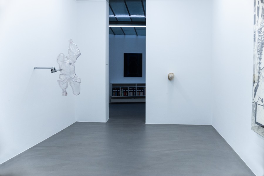 SPECIES, Group Exhibition, Installation views, 2023, Mai 36 Galerie.