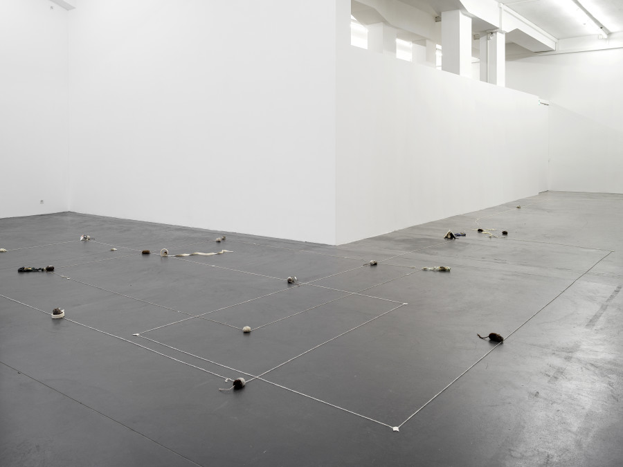 Installation view, Min Yoon, Perspectives + ing, Galerie Francesca Pia, Zurich, 2024. Photo: Cedric Mussano