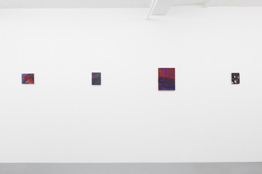 Exhibition view, Augusta Lardy Micheli, walk with me, galerie lange + pult, Auvernier, 2026. Photo credit: © Sully Balmassière