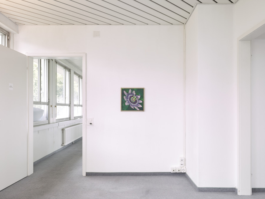 Exhibition view, Matteo Callegari, Mother, flatmarkus, Kilchberg / Zürich, 2024. Photo credit: Felix Jungo. Courtesy of the artist and flatmarkus