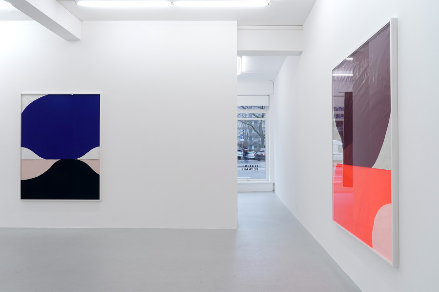 Exhibition view, Mirjam Blanka Inauen, A Beautiful Blue Substance Flows Into Me, Lullin + Ferrari, 2023.
